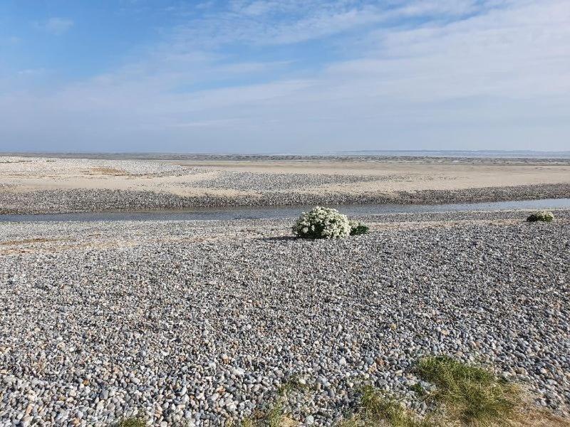 Gite Baie De Somme Cayeux-sur-Mer Zewnętrze zdjęcie